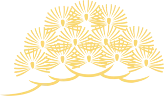 องค์ประกอบตกแต่ง